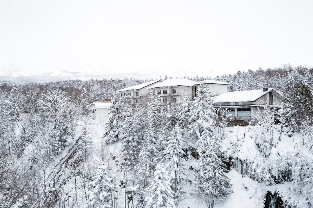 Phoenix Hotel Hakuba