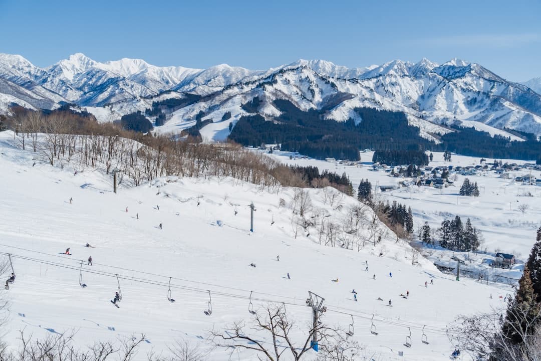野澤溫泉旅館 朝日屋