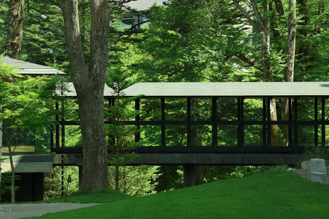Setsu Niseko
