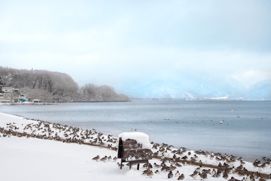 夏油高原滑雪場