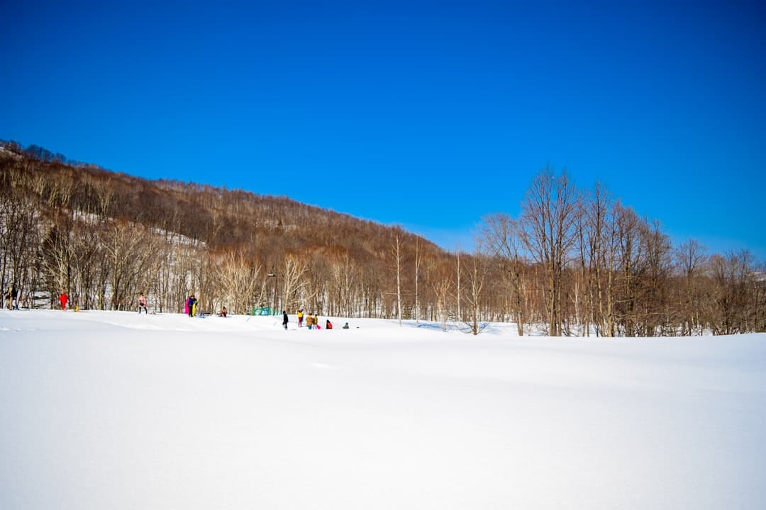 富良野滑雪場