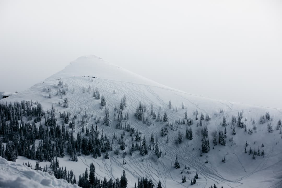 神樂·田代滑雪場