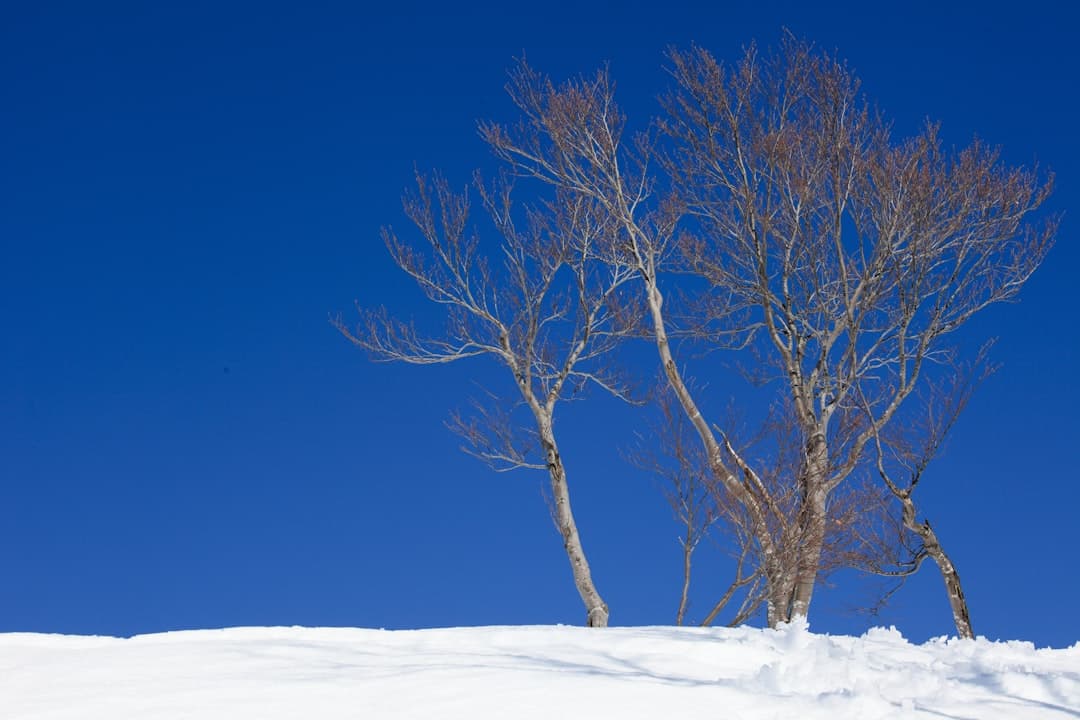 神立高原滑雪場