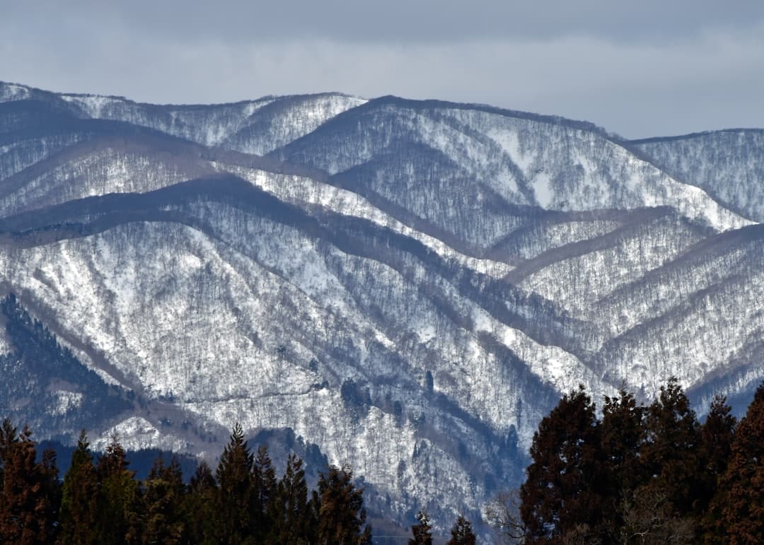 白山一里野溫泉滑雪場